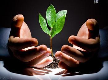 大電流變壓器盡在鵬鷹您的滿意是我們永恒的追求_大電流變壓器盡在鵬鷹您的滿意是我們永恒的追求價(jià)格_大電流變壓器盡在鵬鷹您的滿意是我們永恒的追求廠家_防盜、報(bào)警器材及系統(tǒng) 產(chǎn)品 中國橄欖油交易網(wǎng)-橄欖油價(jià)格 橄欖油團(tuán)購 橄欖油行情 進(jìn)口橄欖油