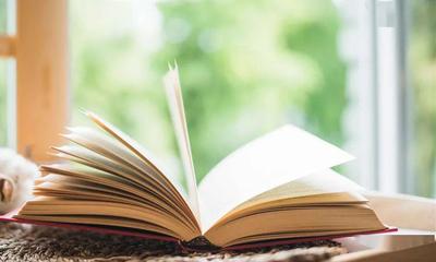 讀經(jīng)典書籍，做智慧教師